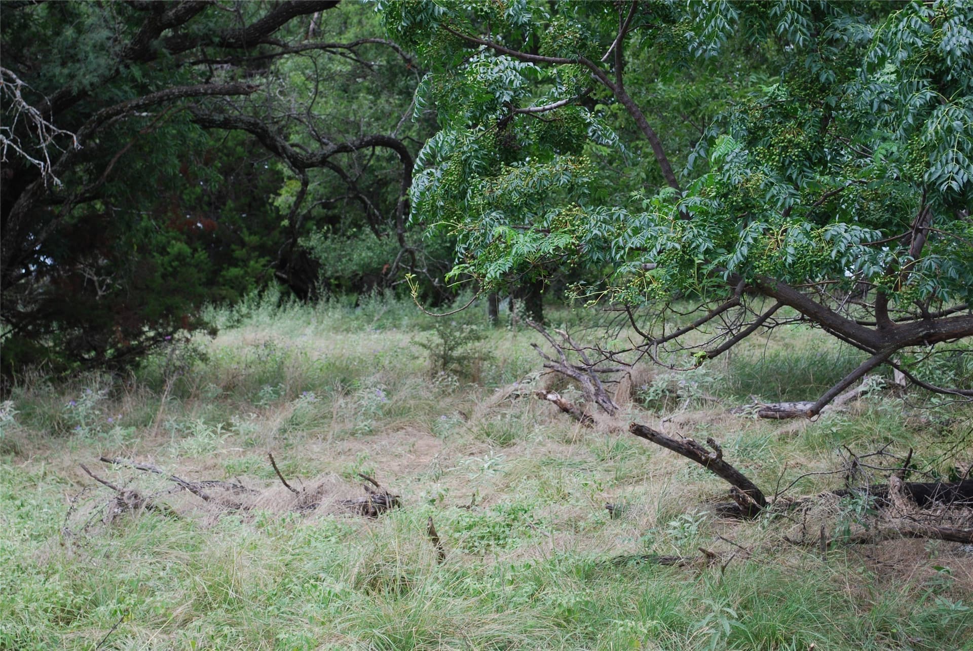 0.17 acres in Hill County - photo 11