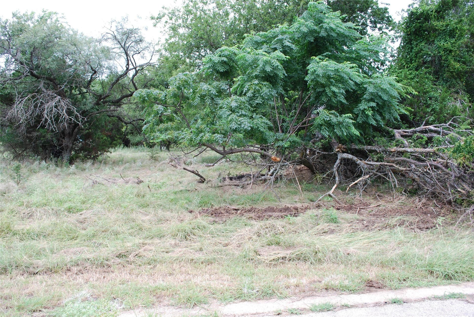 0.17 acres in Hill County - photo 10
