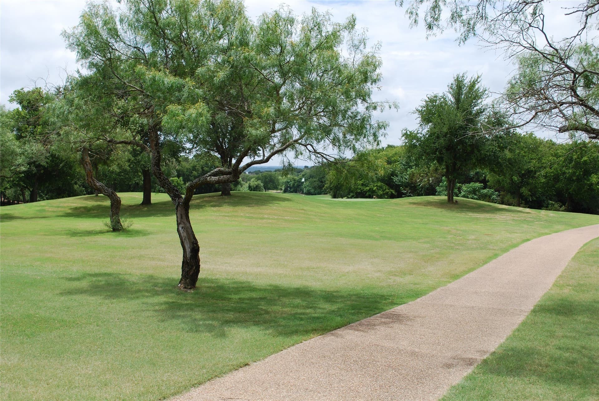 0.17 acres in Hill County - photo 15