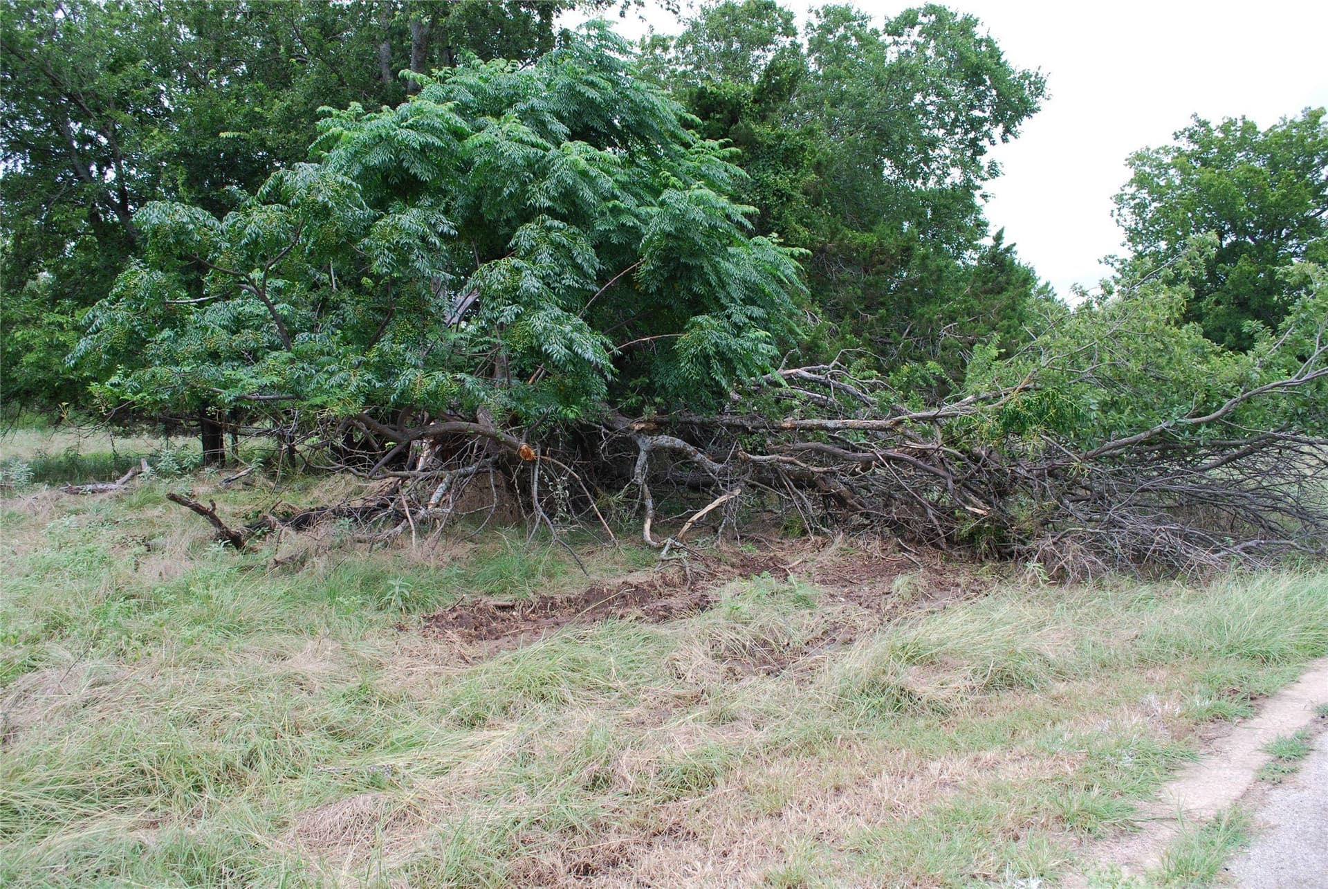 0.17 acres in Hill County - photo 9