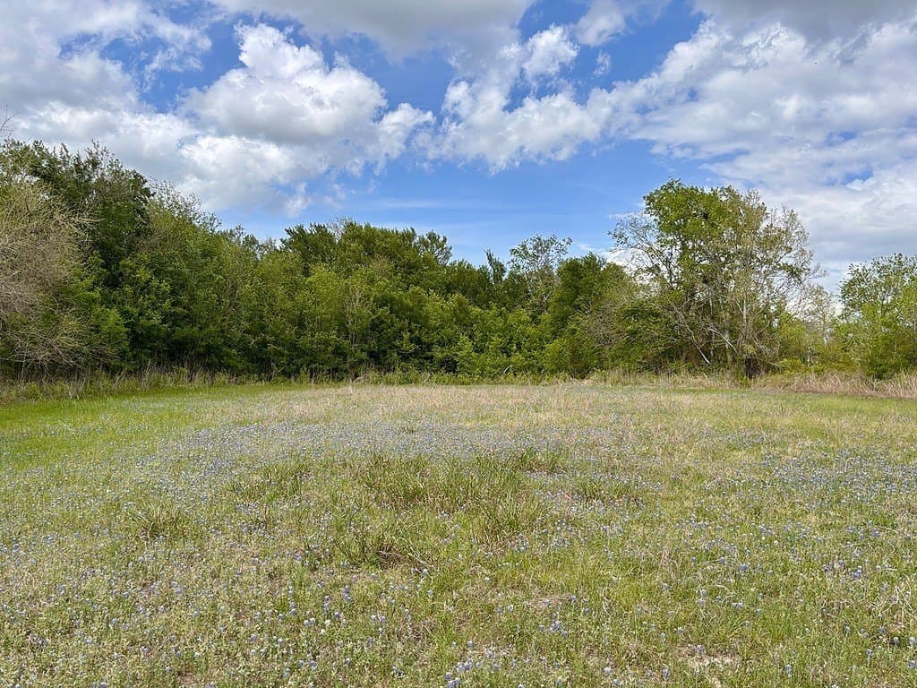 25 acres in Washington County gallery image 2