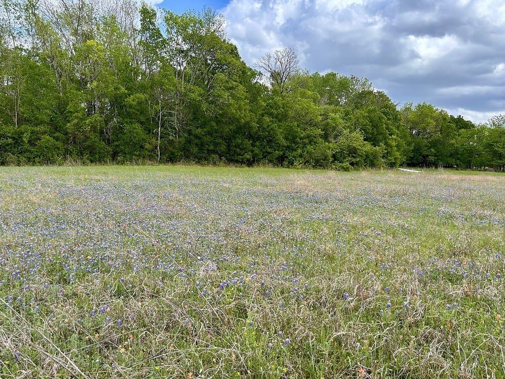 25 acres in Washington County featured view
