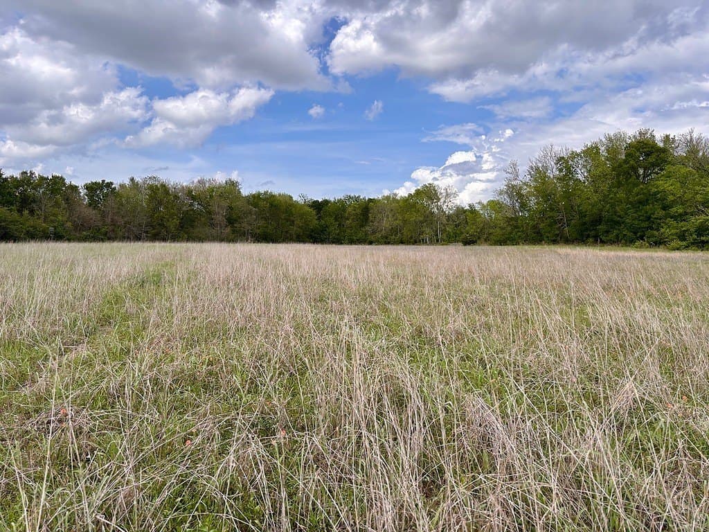 25 acres in Washington County - photo 6