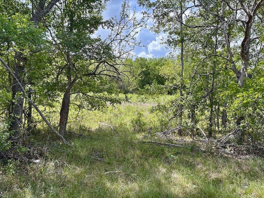 25 acres in Washington County gallery image 3