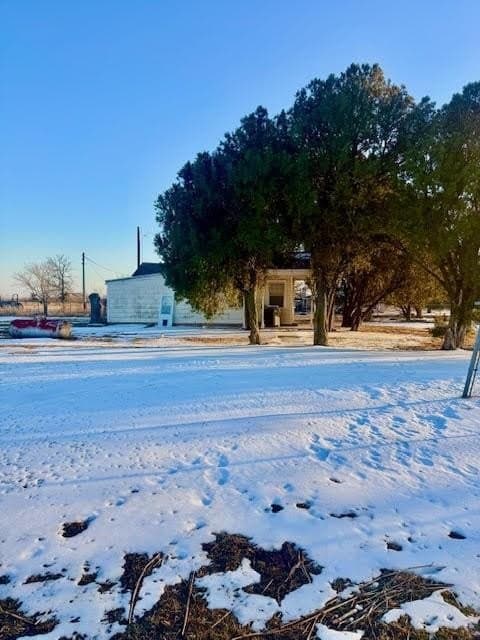 13.63 acres in Wichita County gallery image 2