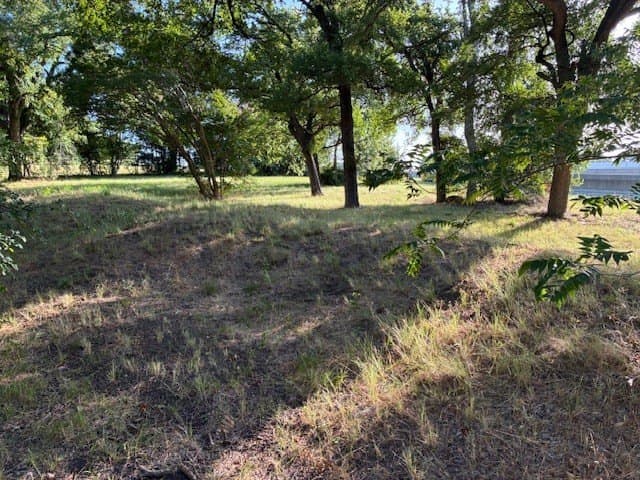 0.75 acres in Dallas County - photo 15