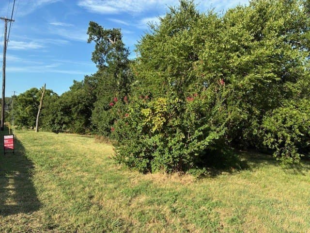 0.75 acres in Dallas County - photo 9