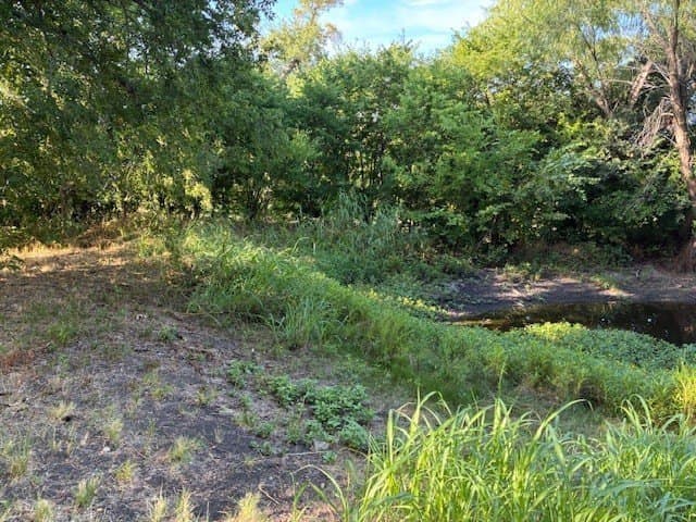 0.75 acres in Dallas County - photo 18