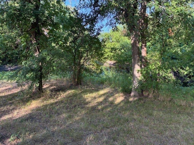 0.75 acres in Dallas County - photo 19