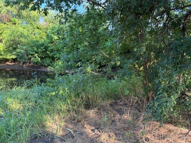 0.75 acres in Dallas County - photo 13