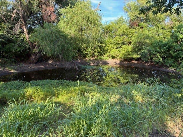 0.75 acres in Dallas County - photo 6