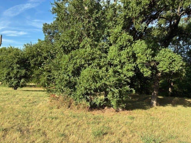 0.75 acres in Dallas County gallery image 4
