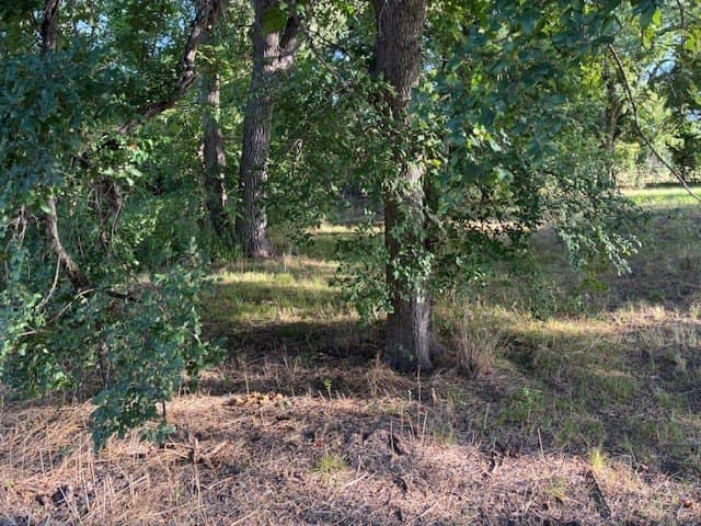 0.75 acres in Dallas County - photo 14