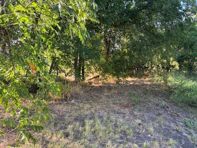 0.75 acres in Dallas County - photo 17
