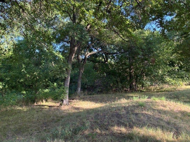 0.75 acres in Dallas County - photo 11