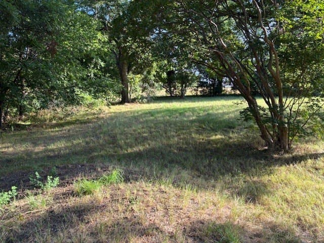 0.75 acres in Dallas County - photo 20