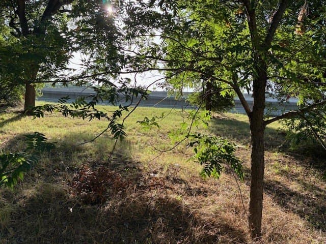 0.75 acres in Dallas County - photo 16