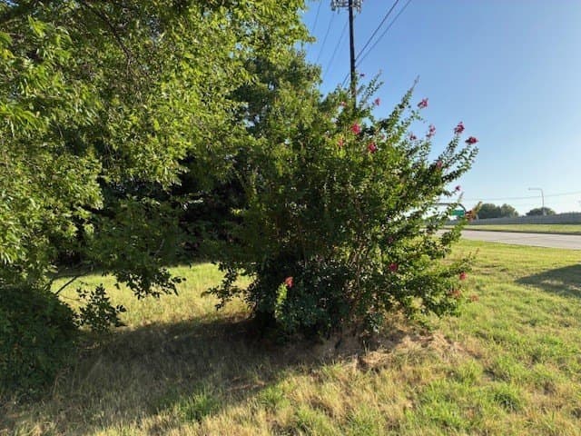 0.75 acres in Dallas County - photo 23