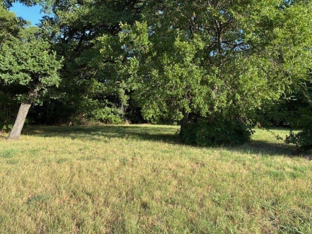0.75 acres in Dallas County - photo 21
