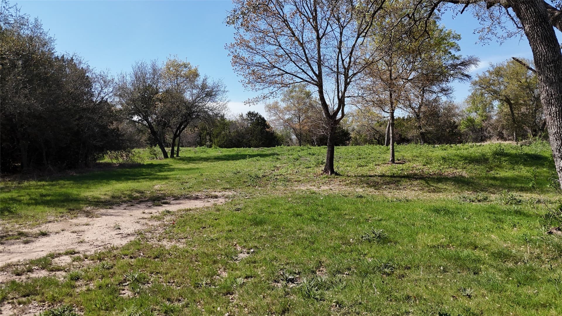 2.29 acres in Parker County - photo 4