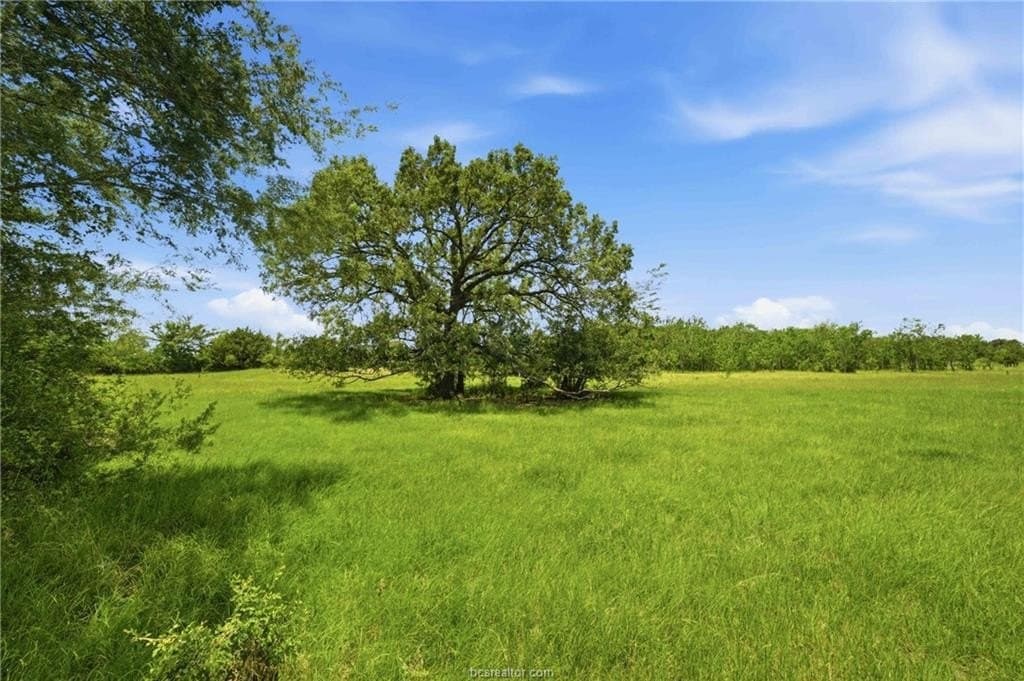 19.06 acres in Robertson County gallery image 3