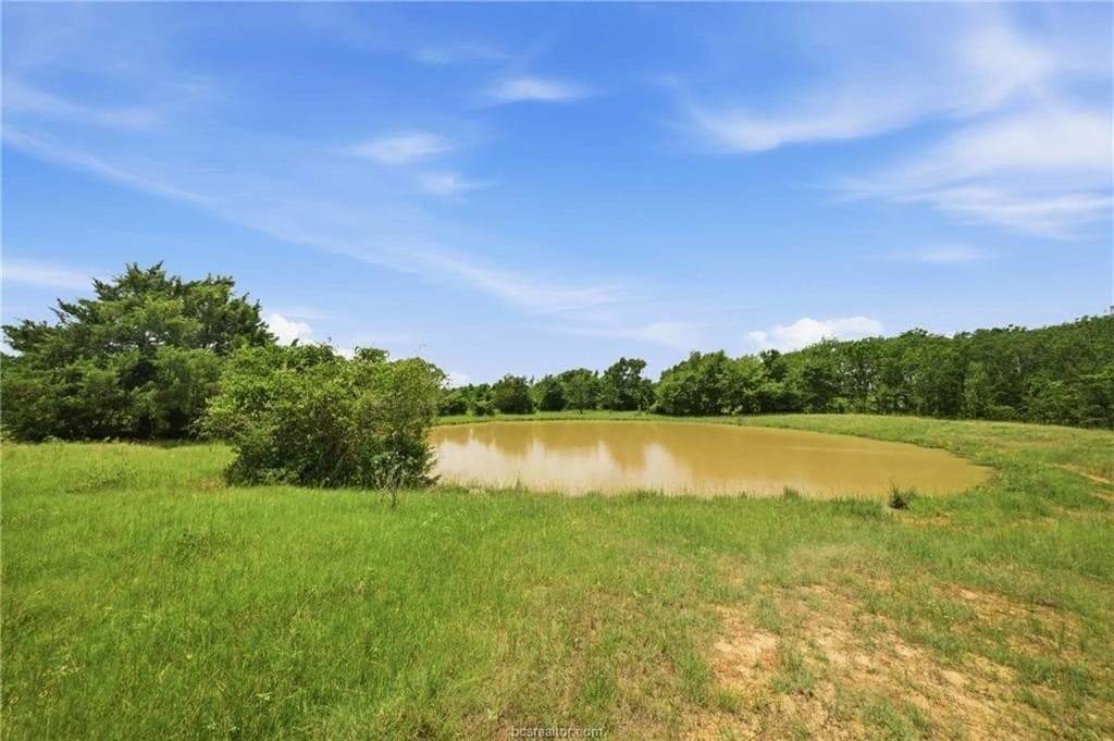 19.06 acres in Robertson County gallery image 2