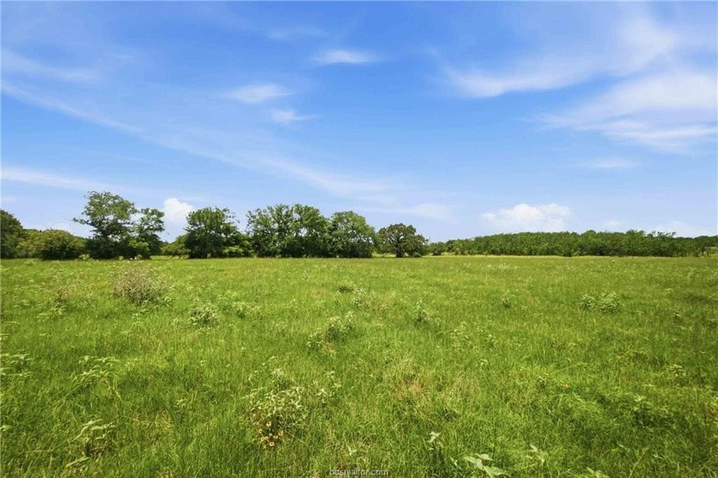 19.06 acres in Robertson County gallery image 4