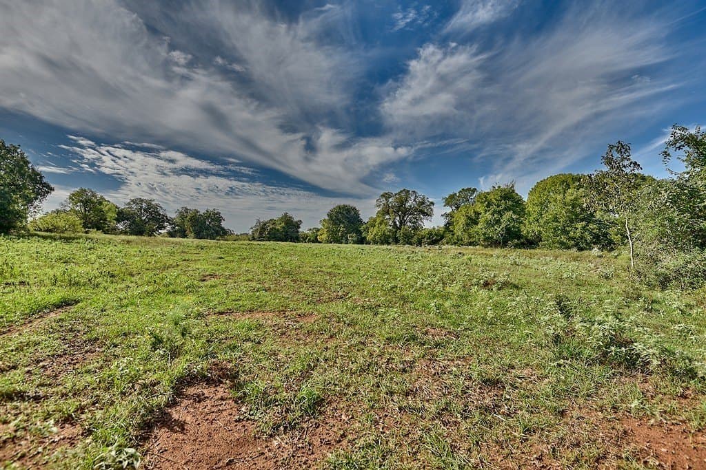 30.3 acres in Lee County - photo 6
