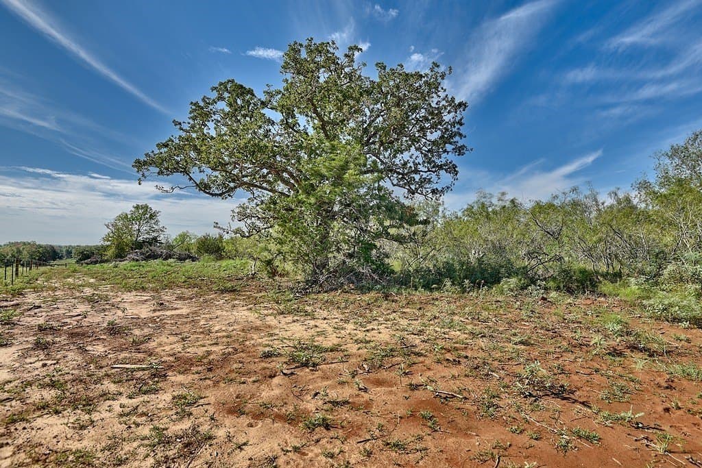 30.3 acres in Lee County - photo 7