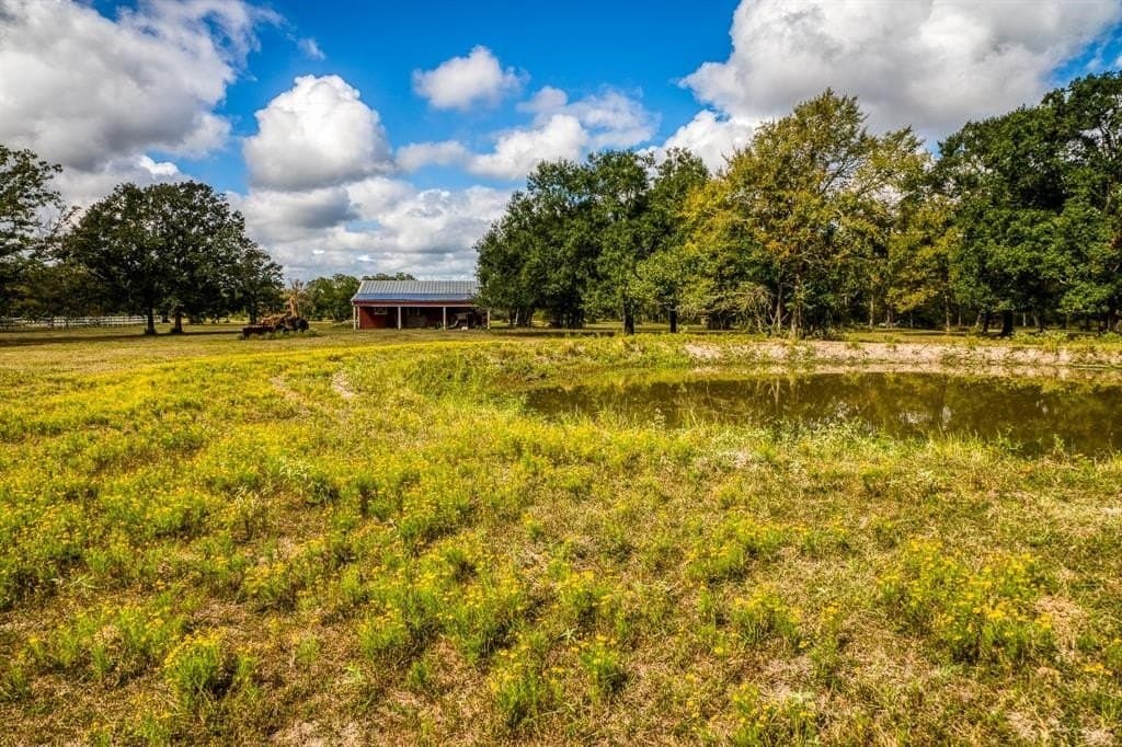 33.6 acres in Grimes County - photo 21