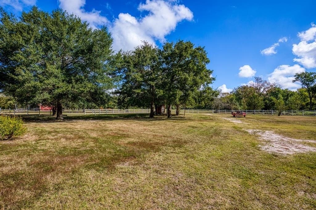 33.6 acres in Grimes County - photo 26