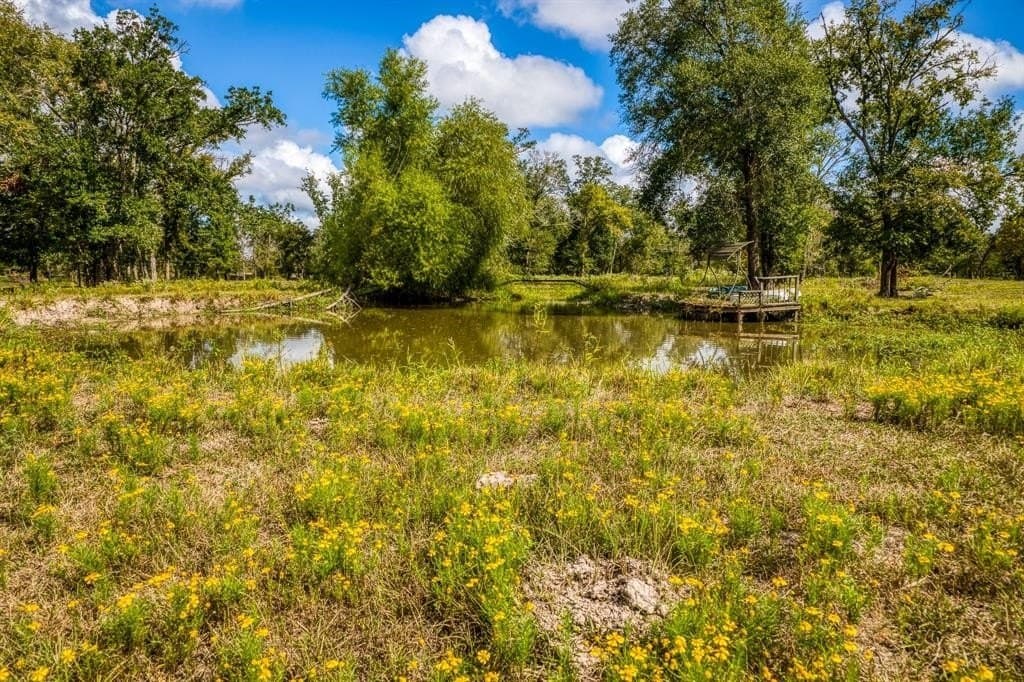 33.6 acres in Grimes County - photo 23