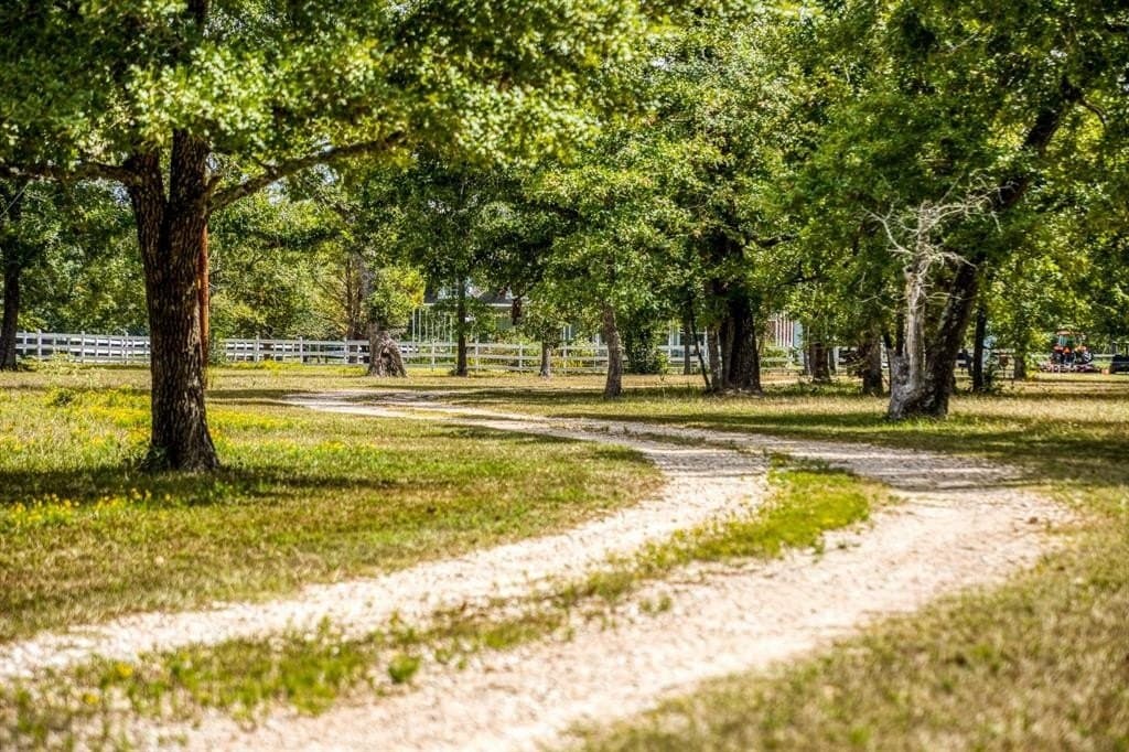 33.6 acres in Grimes County gallery image 2