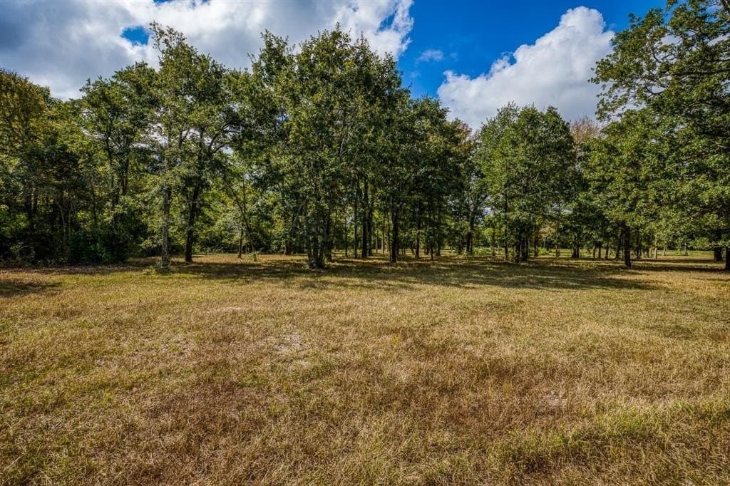 33.6 acres in Grimes County - photo 28