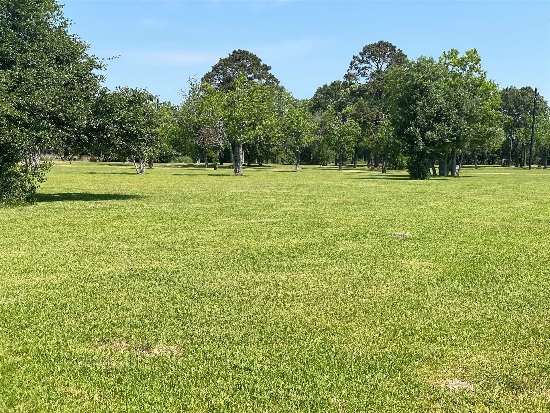 6.09 acres in Brazoria County gallery image 2