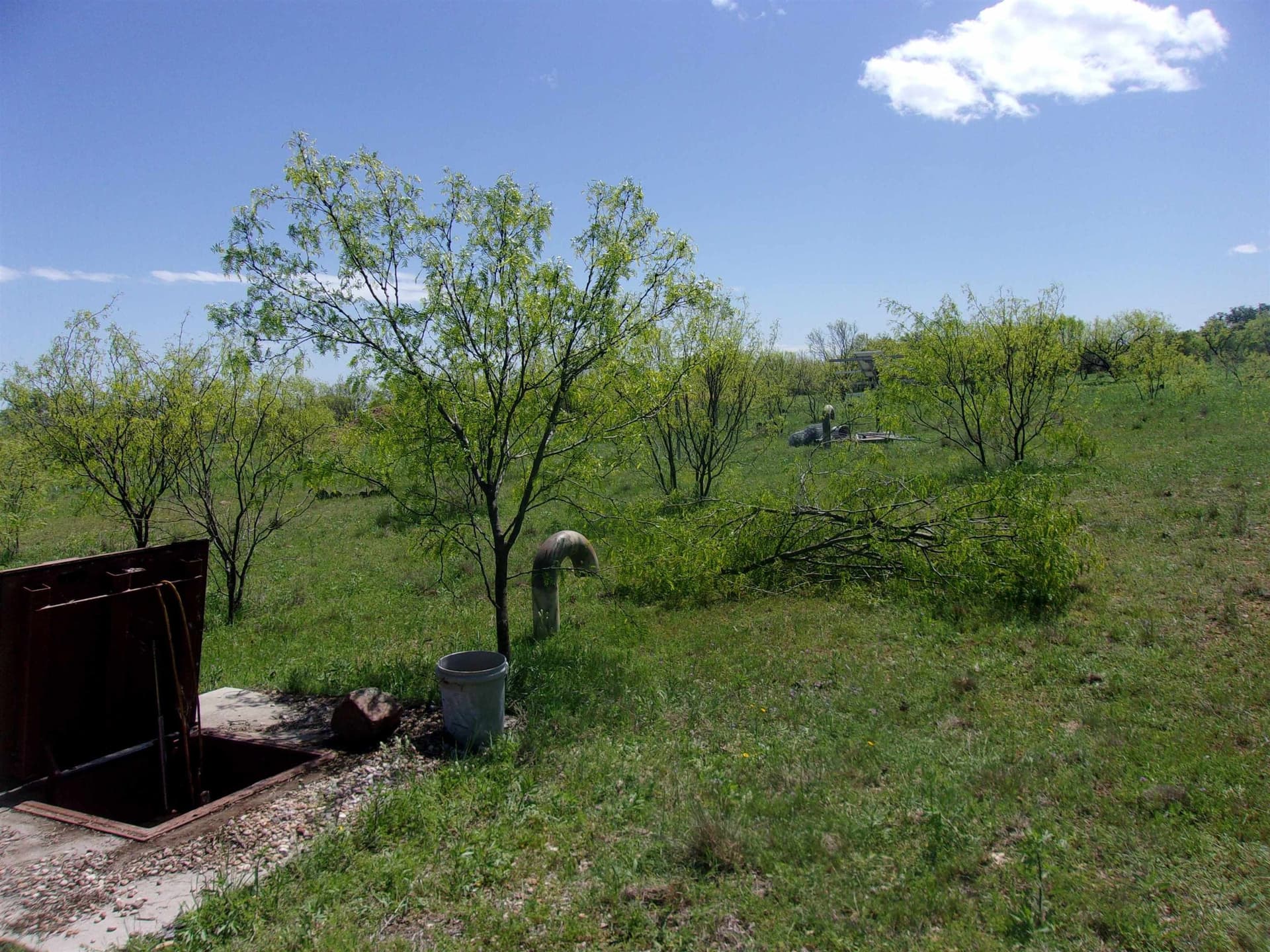 10 acres in Llano County gallery image 3