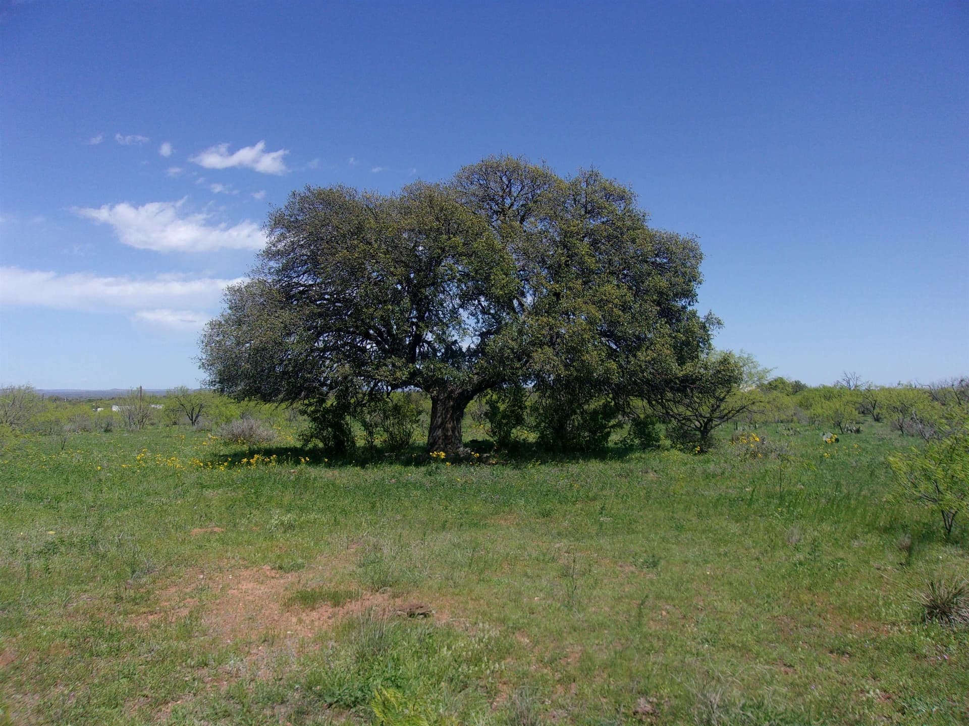 10 acres in Llano County
