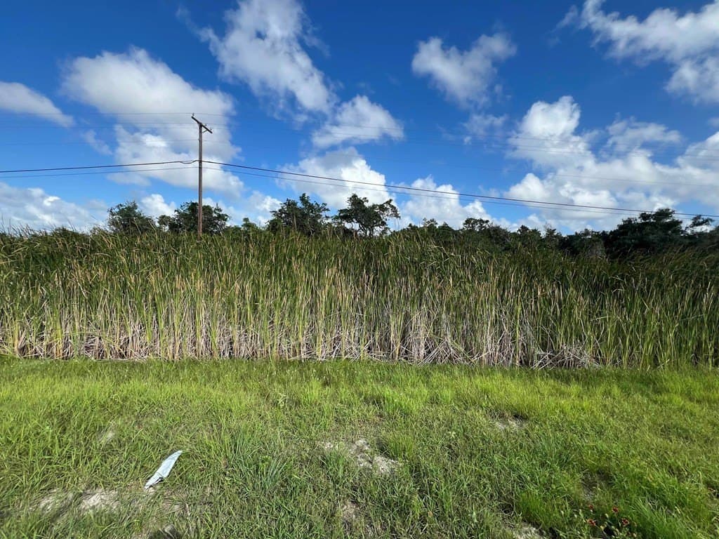 5 acres in Texas County - photo 8