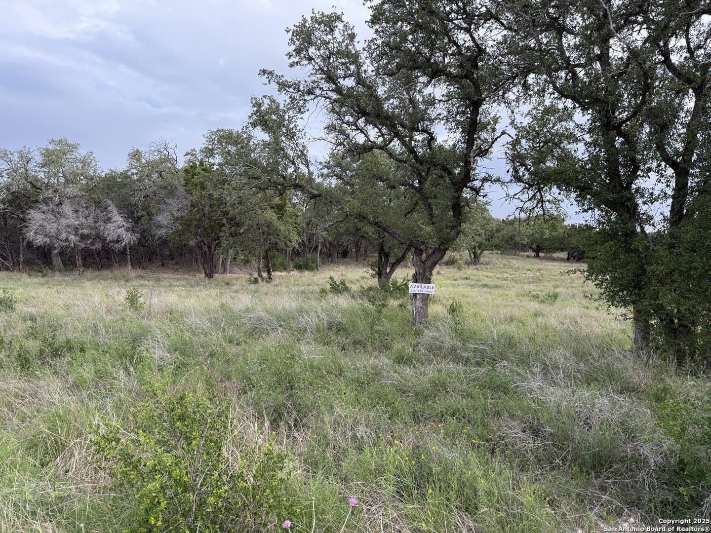 1.02 acres in Comal County - photo 30