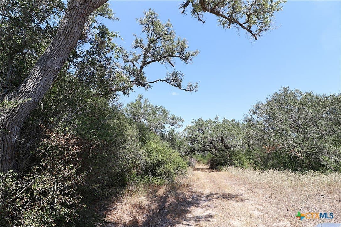 34.71 acres in Goliad County - photo 28