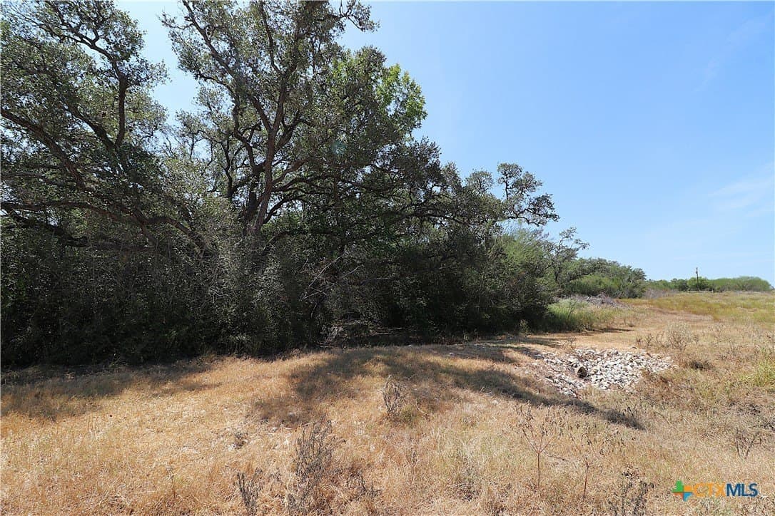 34.71 acres in Goliad County - photo 6