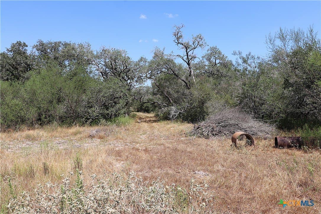 34.71 acres in Goliad County - photo 14