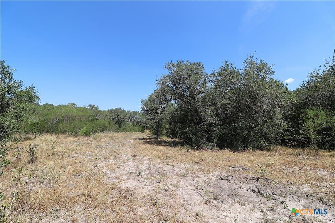 34.71 acres in Goliad County - photo 10