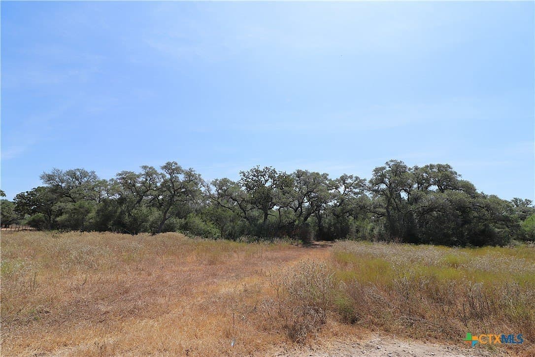 34.71 acres in Goliad County - photo 4