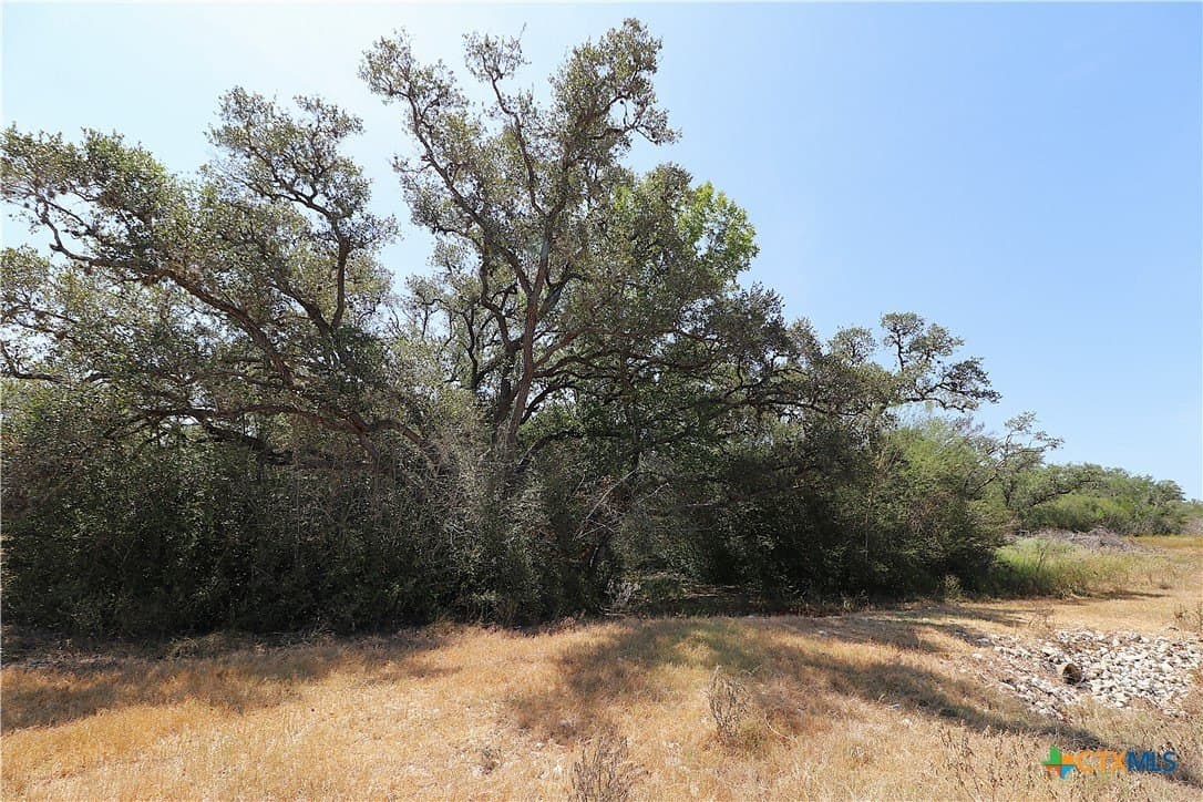 34.71 acres in Goliad County - photo 7
