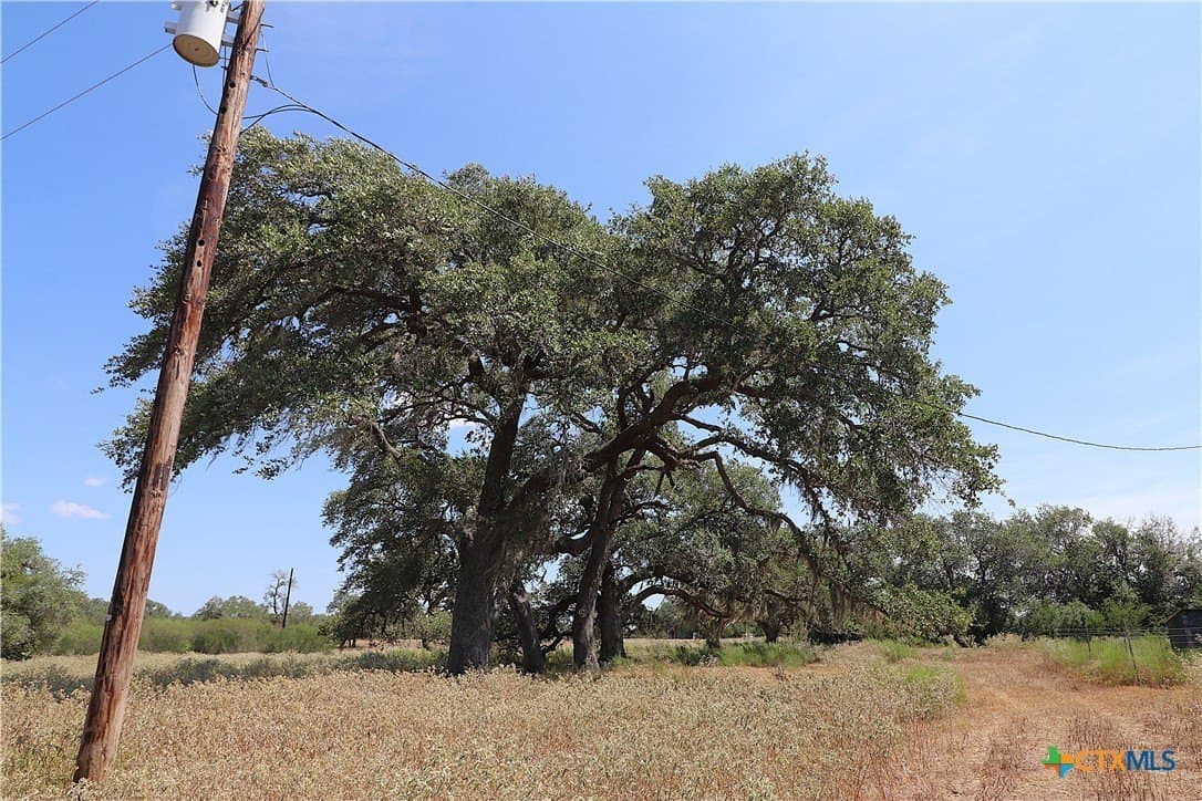 34.71 acres in Goliad County - photo 23