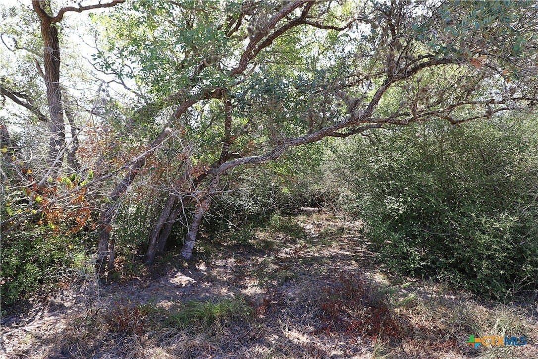 34.71 acres in Goliad County - photo 8