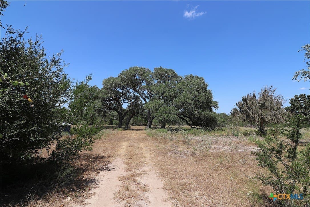 34.71 acres in Goliad County - photo 26