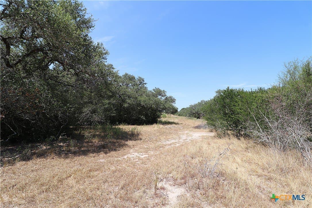 34.71 acres in Goliad County - photo 27
