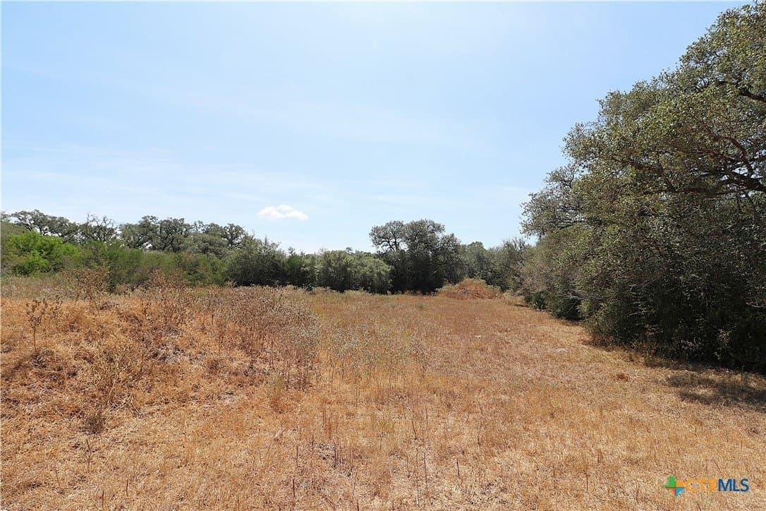 34.71 acres in Goliad County - photo 5